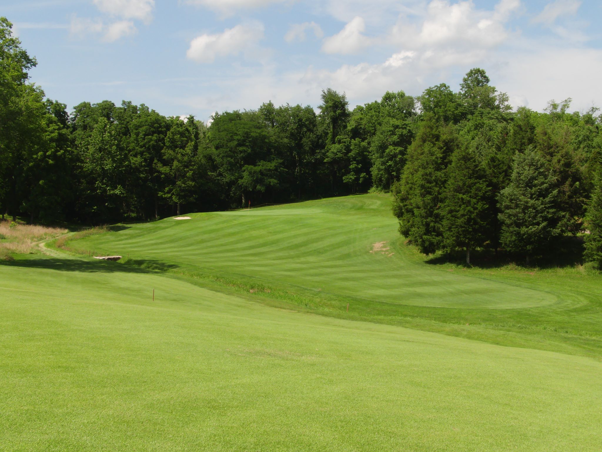 golf course green